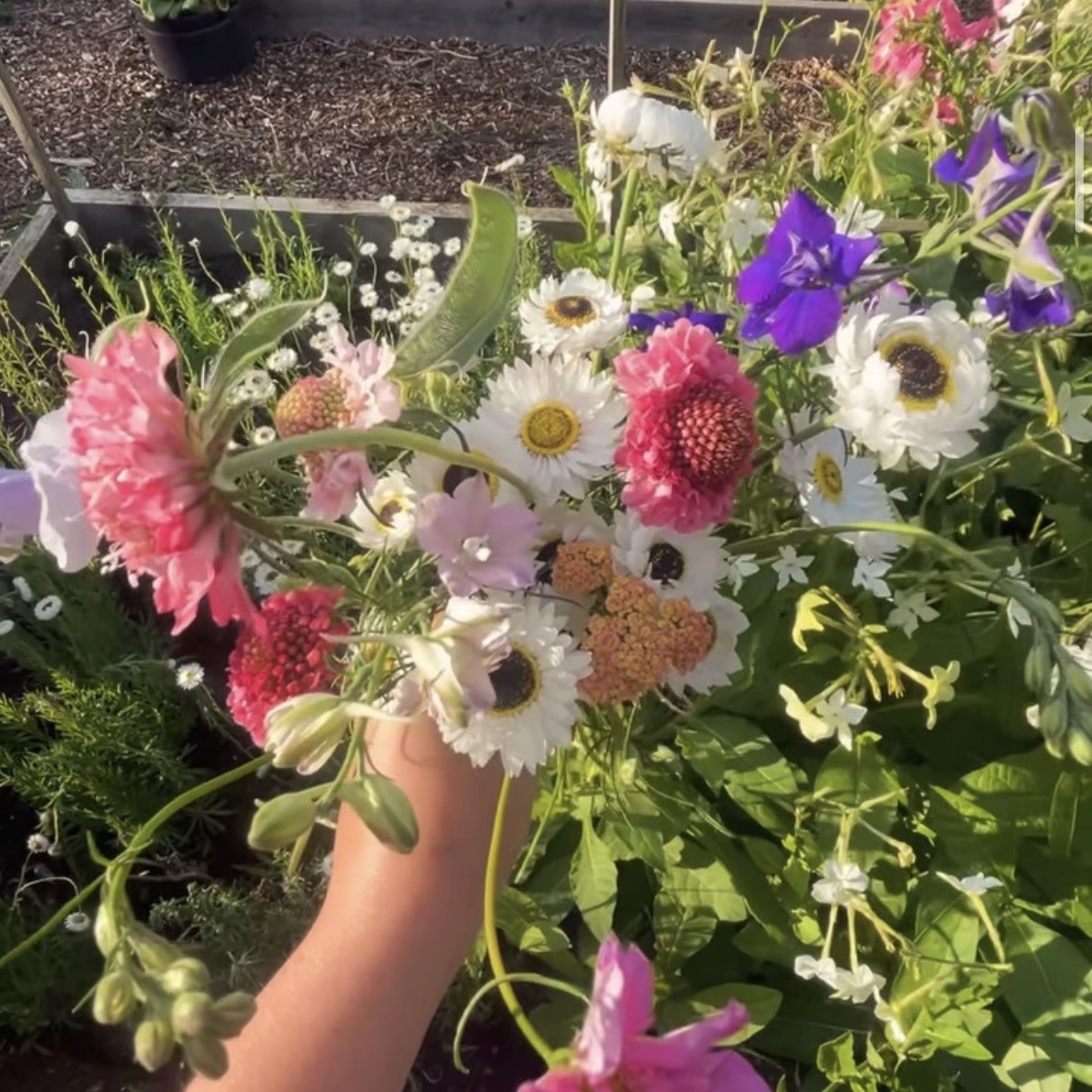 A hand-tied summer bouquet held above the beds